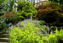 Hillside Landscape Design Grand Rapids